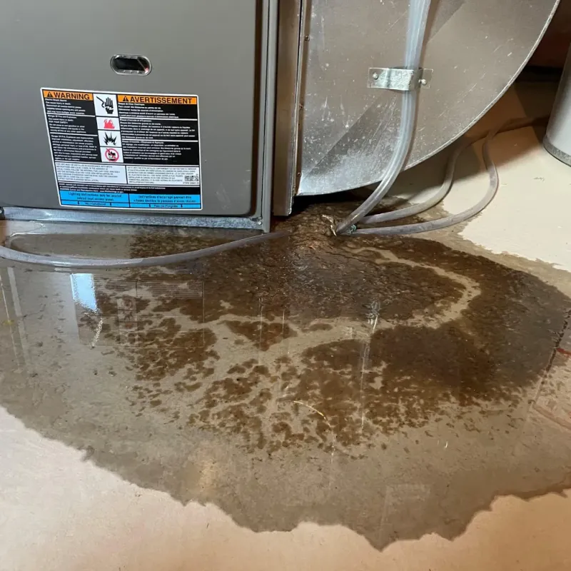 Appliance Leak Cleanup in Crawfordsville, IN